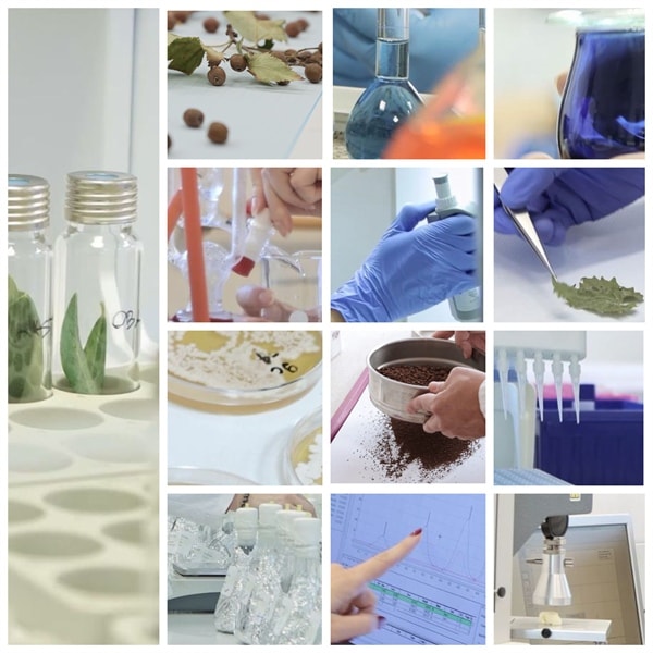 Increasing research innovation in Mediterranean agriculture and forestry by modernizing the infrastructure and improving the excellence of the research group