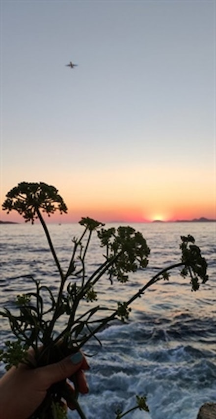 SEAFENNEL4MED: Budućnost mediteranske poljoprivrede počinje s motrom